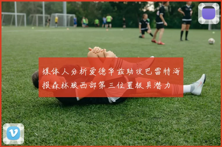 媒体人分析爱德华兹助攻巴雷特海报森林狼西部第三位置极具潜力